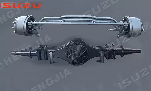 المحاور الأمامية والخلفية